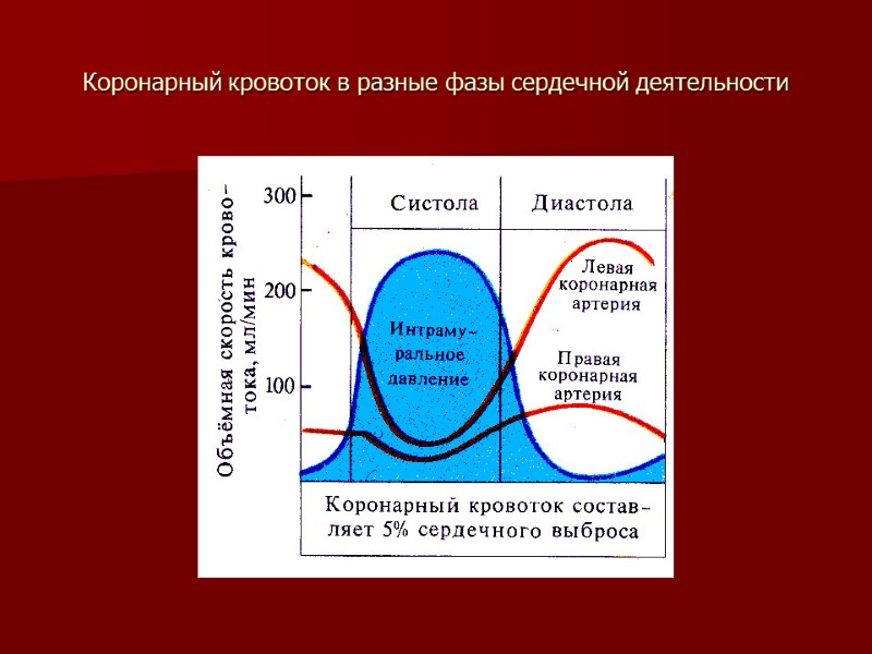 Коронарный кровоток в разные фазы сердечной деятельности